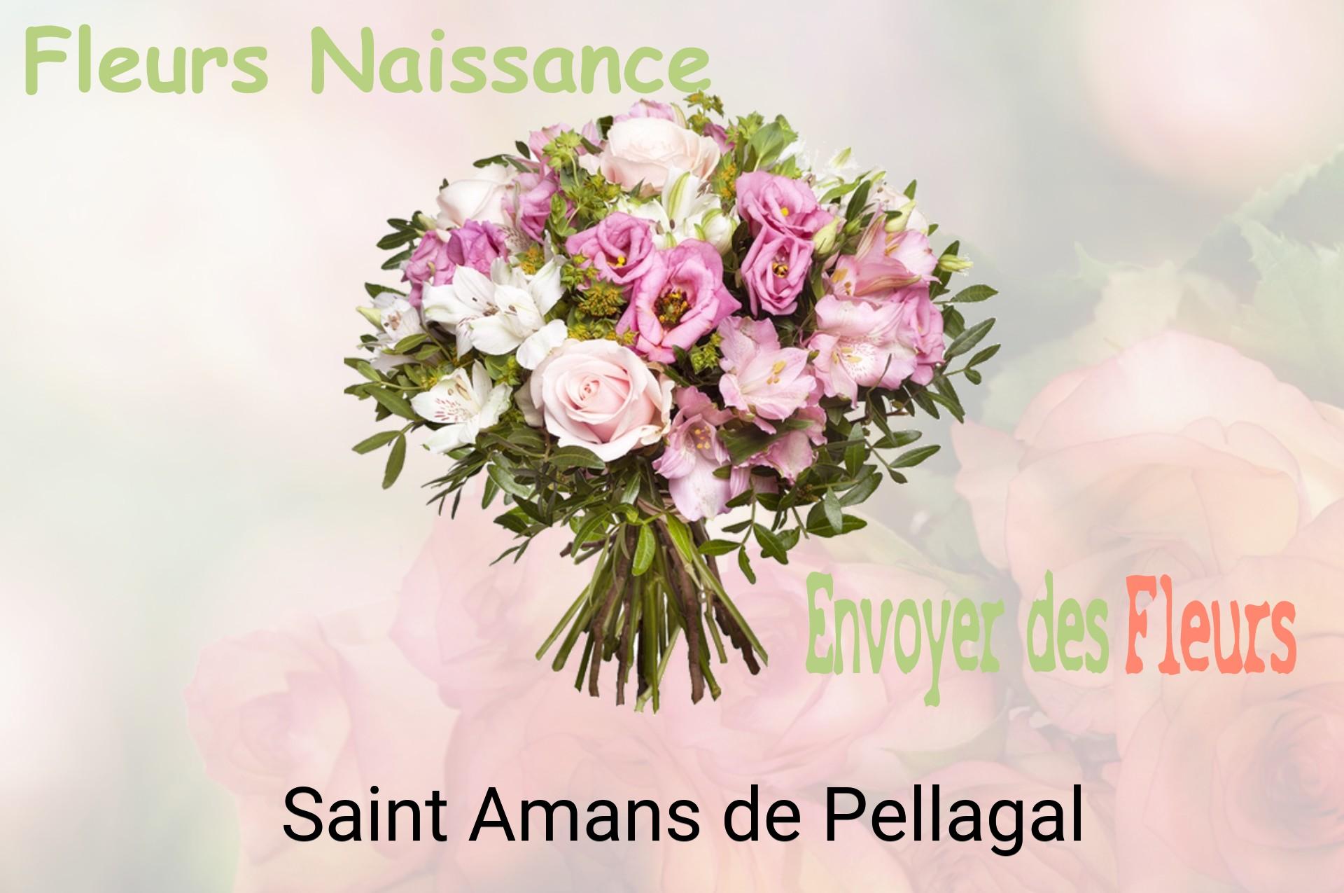 Bouquet de fleurs de naissance livré à Saint-Amans-de-Pellagal
